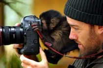 Chết cười hình ảnh động vật phía sau camera (3)