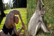 Khi động vật luyện tập thể thao (1)