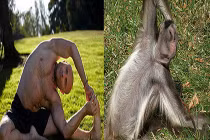 Khi động vật luyện tập thể thao (1)