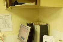 Hài hước khi mèo ở... tận cùng của nỗi sợ hãi 