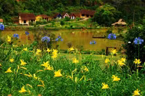 Đặt chân đến ngôi làng đẹp như cổ tích ở Đà Lạt