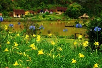 Đặt chân đến ngôi làng đẹp như cổ tích ở Đà Lạt