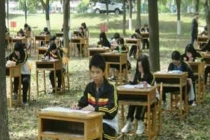 Học sinh Trung Quốc... vào rừng thi học kỳ