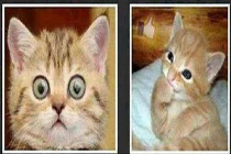 "Sặc mỳ tôm" với ảnh chế hài hước về con gái