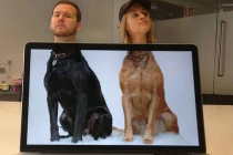 Khoảnh khắc trùng hợp đến lạ kỳ (P11)