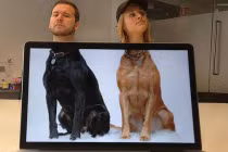 Khoảnh khắc trùng hợp đến lạ kỳ (P11)