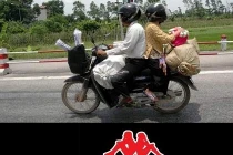 Ảnh độc chỉ có ở Việt Nam (17)