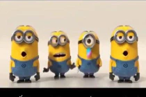 Độc thân - Minion