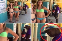 Sức hút của người đẹp