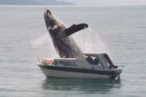 Khoảnh khắc trước khi “mọi thứ còn nguyên vẹn” (11)