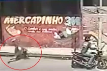 Chết cười với clip “Cái tội ăn trộm“