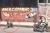 Chết cười với clip “Cái tội ăn trộm“