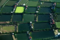 Bay trên thủy phi cơ ngắm Hạ Long đẹp mê mẩn