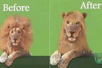 Cười sặc với loạt ảnh trước và sau siêu hài hước