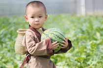 Bé trai hái dưa hấu đáng yêu khiến dân mạng “phát cuồng“