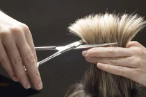 Thợ cắt tóc “nổ” là giám đốc, lừa gần 300 tỷ đồng