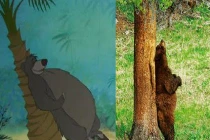 Ngộ nghĩnh nhân vật hoạt hình Disney ngoài đời thực