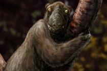 6 loài động vật tuyệt chủng bị con người lãng quên