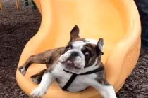 Chộp khoảnh khắc hài hước trong cuộc sống (50)