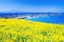 Ngắm những phong cảnh "chỉ có ở Hàn Quốc"