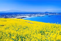 Ngắm những phong cảnh "chỉ có ở Hàn Quốc"