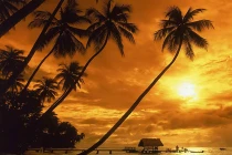 Chiêm ngưỡng hoàng hôn trên toàn thế giới