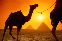 Di sản văn hóa Ai Cập đang bị lâm nguy