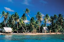 Chiêm ngưỡng vẻ đẹp mê hồn của Polynesia 