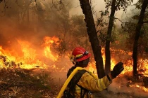 Lính cứu hỏa Mỹ thua “giặc lửa” ở Yosemite 