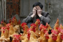 Báo động đỏ, H7N9 “lây từ người sang người” 