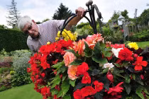 Khu vườn được chăm sóc cầu kỳ nhất nước Anh