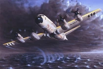 Máy bay P3C Orion của Mỹ tuần tra Biển Đông