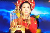 Chuyện tình buồn của con gái Kim Tử Long gây xúc động