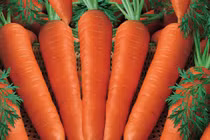 Sung sức với 10 loại rau quả giao mùa