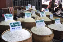 Lo lắng vì gạo Thái nhiễm chất độc gây tê liệt thần kinh