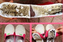 Thực hư dép Trung Quốc chứa chất lạ gây tê, liệt chân
