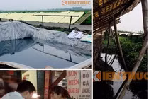 Miến phơi cạnh hố phân, khách vẫn húp xoàm xoạp