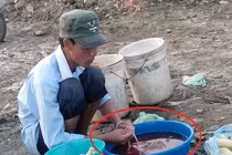 Thâm nhập nơi mổ vịt, hãm tiết canh bẩn nhất Hà Thành