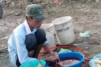 Thâm nhập nơi mổ vịt, hãm tiết canh bẩn nhất Hà Thành