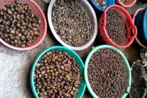 “Soi” thủy sản nghi nhiễm kim loại ở các chợ Hà Nội