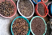 “Soi” thủy sản nghi nhiễm kim loại ở các chợ Hà Nội