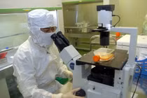 Bản chất vắcxin viêm gan B an toàn như thế nào?