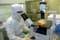 Bản chất vắcxin viêm gan B an toàn như thế nào?