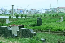 Điểm mặt những loại rau thường trồng ở nghĩa địa