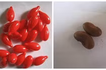 Hy hữu phát nhầm vitamin A bằng hạt đậu