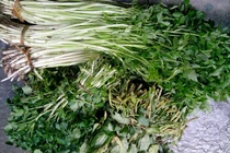 Khảo sát chợ Hà Nội: Sốc với rau nhiễm... sán, giun, đỉa 