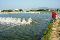 Bằng chứng Phó Giám đốc BQL ở Bạc Liêu bị tố ăn cắp bản quyền... làm giàu?