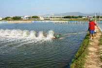 Bằng chứng Phó Giám đốc BQL ở Bạc Liêu bị tố ăn cắp bản quyền... làm giàu?