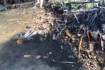 Phát hiện bể chứa có váng, Viwasupco vẫn cấp nước cho dân: “Sống chết mặc bay” 