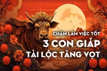 Chăm làm việc tốt, cuối năm 3 con giáp này tài lộc tăng vọt